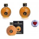 CEBEGO 4-er-Set Golf-Whisky St. Andrews in Mini...